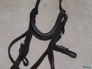 Träns hästutrustning Träns, förbyglar och gjordar - Annons 1