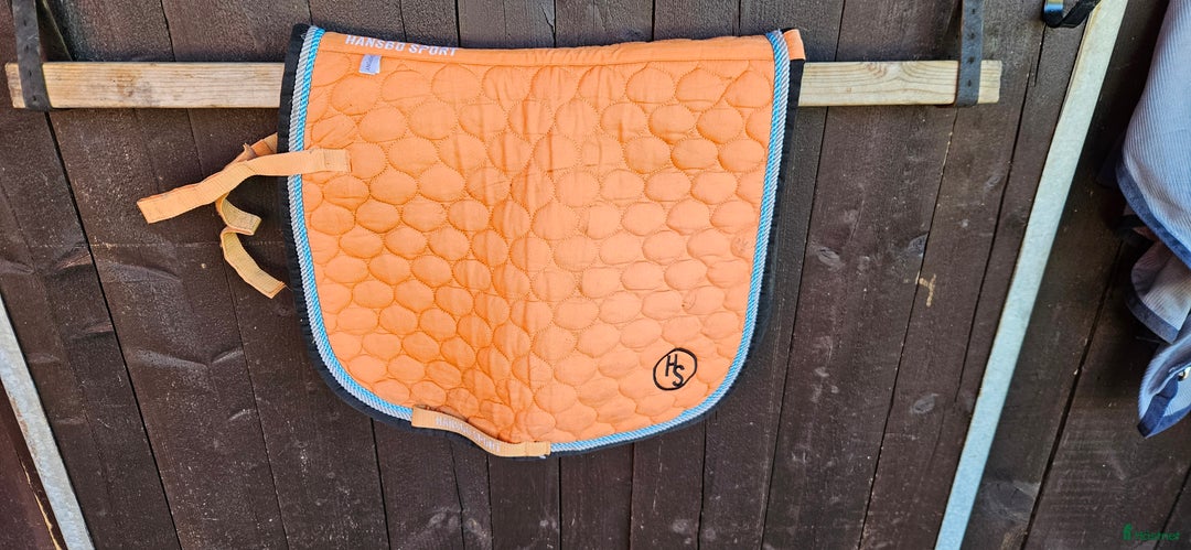 Övrig Hästutrustning hästutrustning till salu: Massa ponny saker i Vingåker - Annons 21