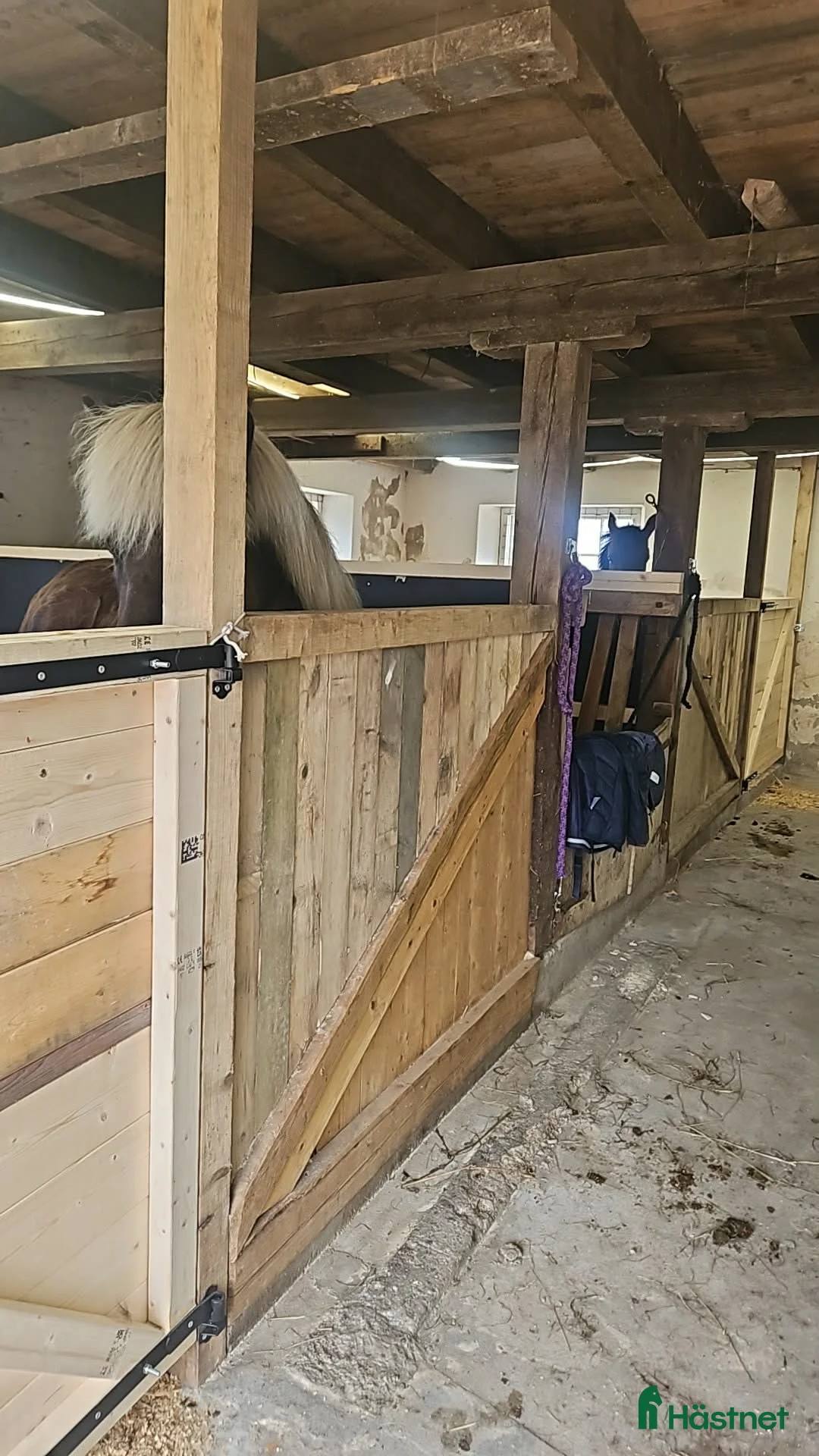  stallplats finnes: Stallplats ponny finnes i Gate - Annons 2