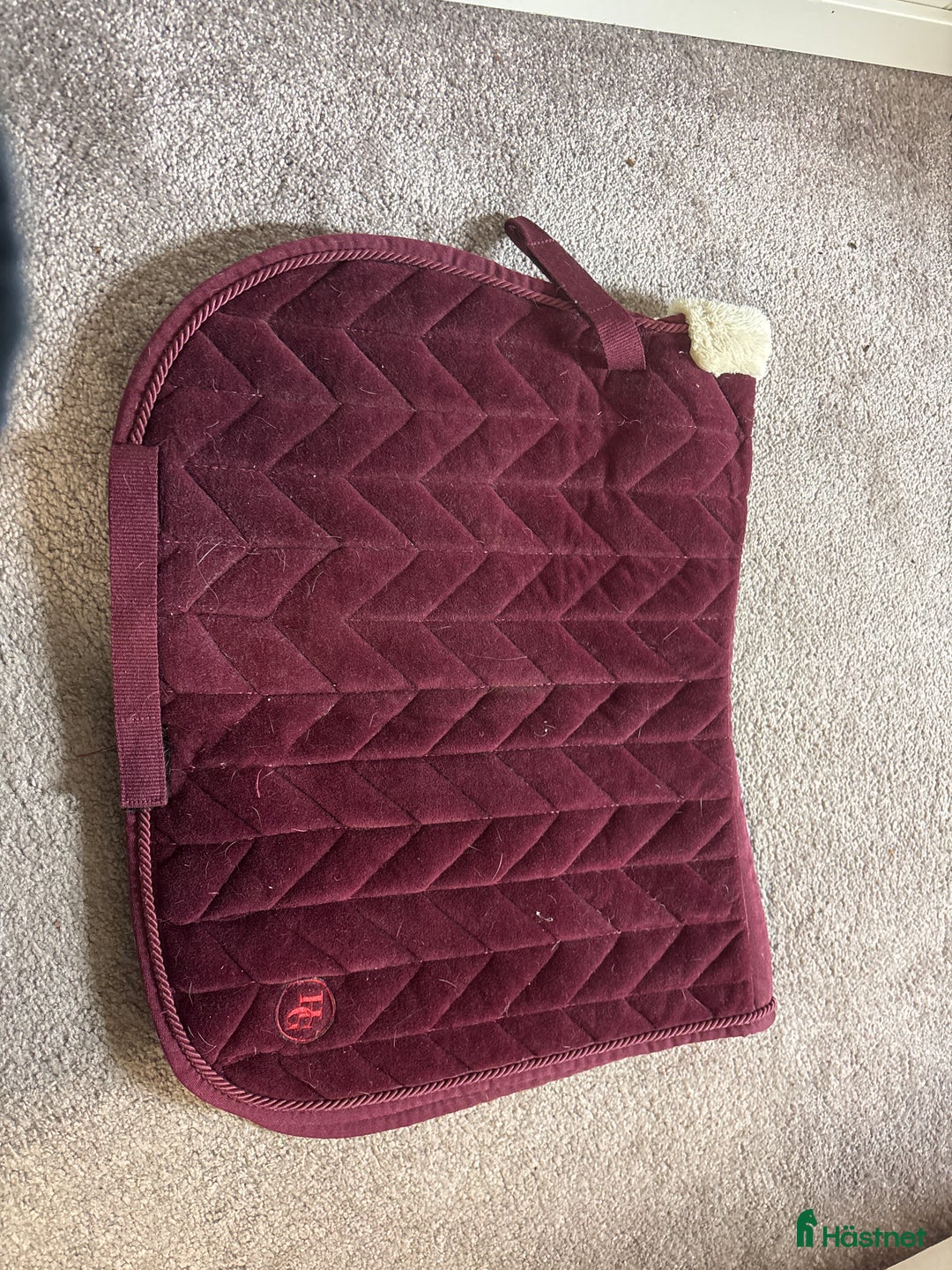 Schabrak & Vojlockar hästutrustning till salu: Fint schabrak  i Kalix - Annons 1