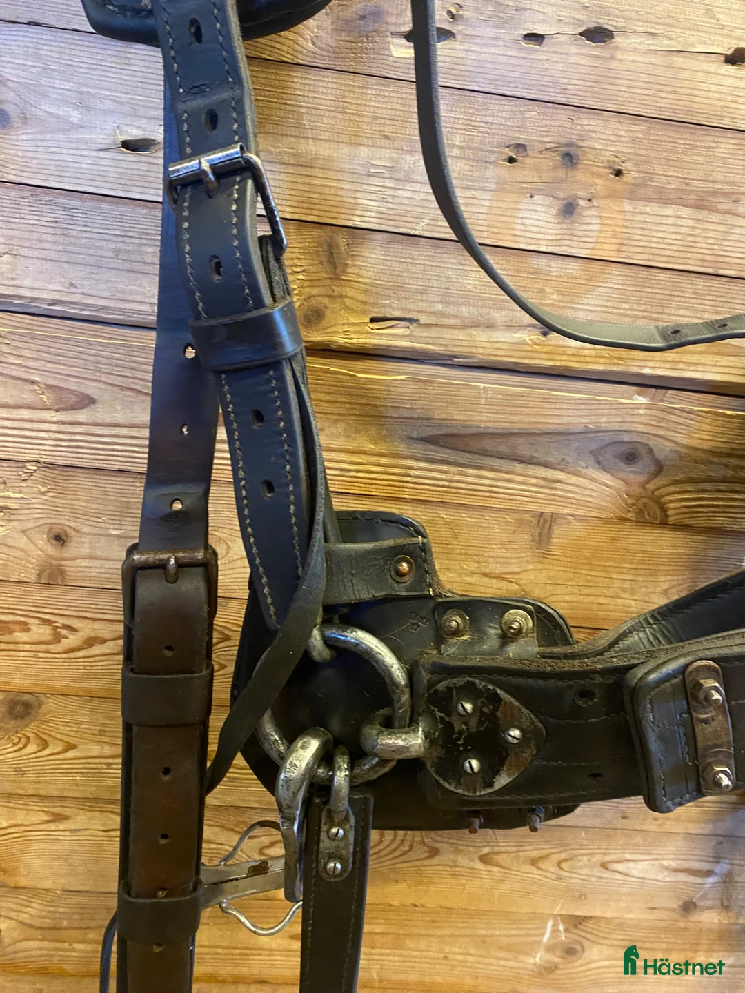 Körselar körning till salu: Loksele - Annons 2