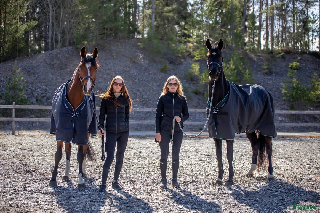  hästservice finnes: Utbildning och problemlösning  - Annons 1