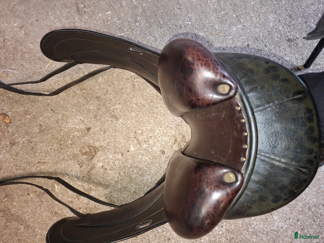 Sadlar hästutrustning till salu: Dressyrsadel Childeric DAC i Visby - Annons 2