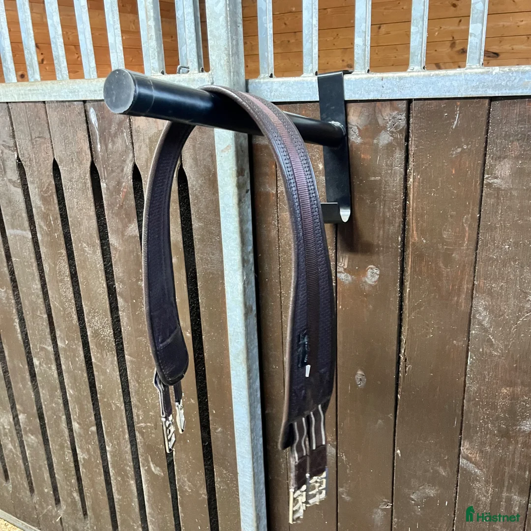 Sadeltillbehör hästutrustning till salu: Brun sadelgjord- 110cm - Annons 1