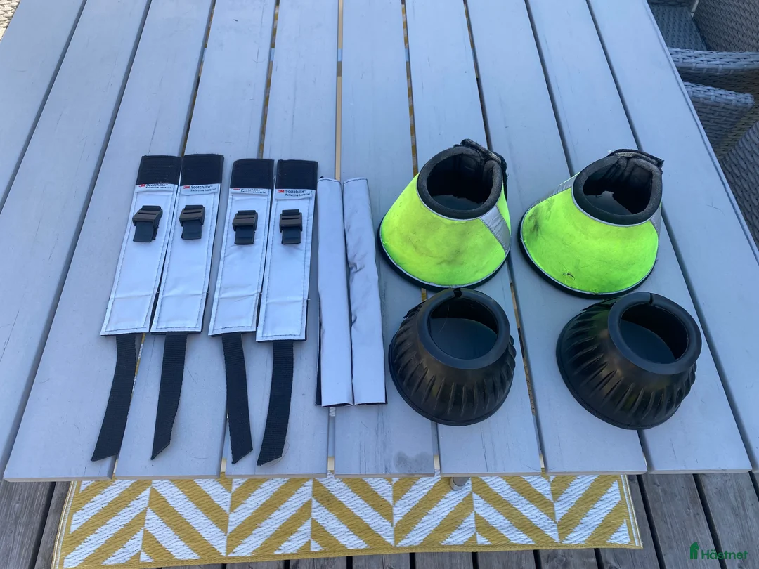 Övrig Hästutrustning hästutrustning till salu: Reflexer & boots i Frösön - Annons 1