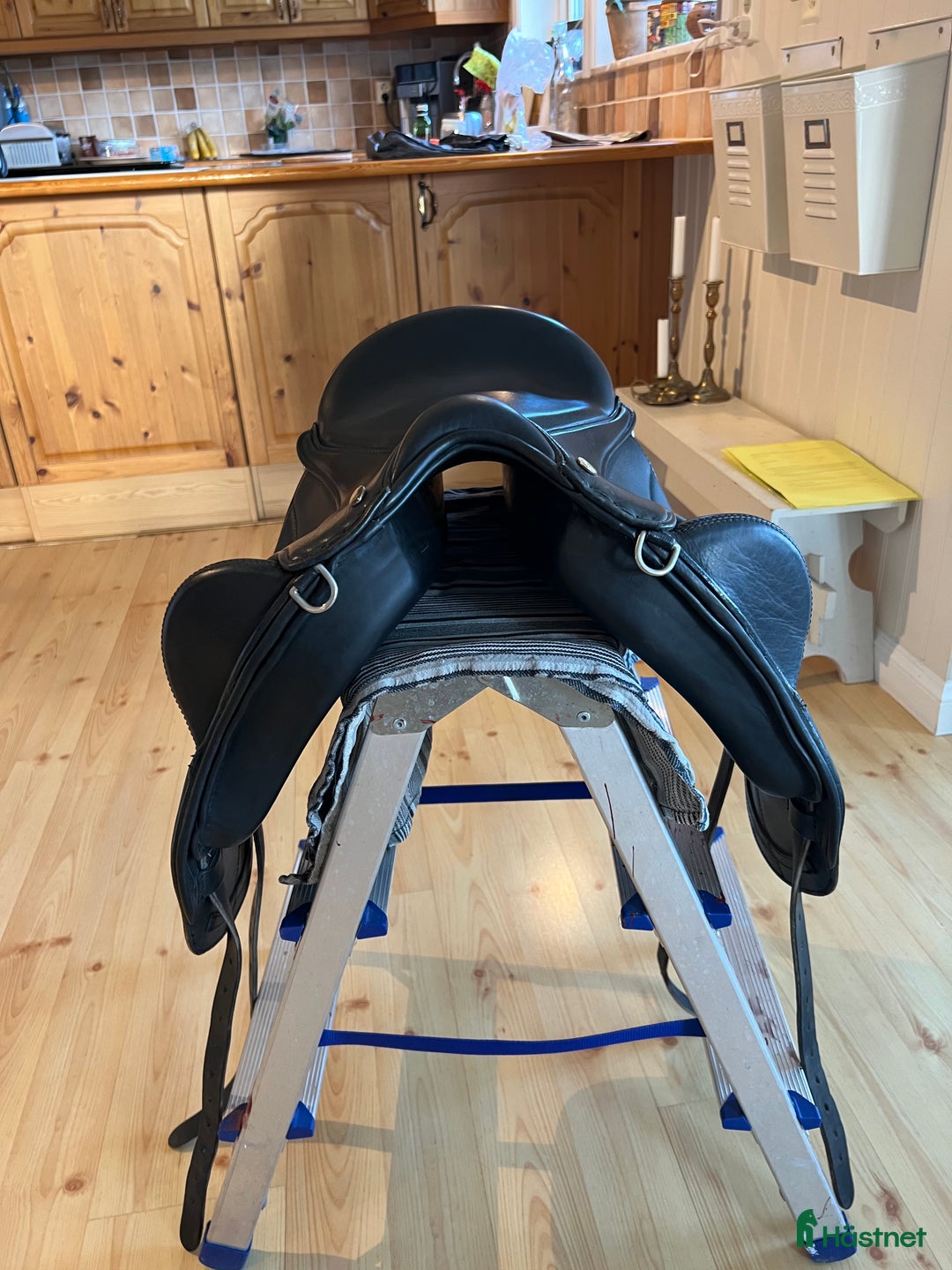 Sadlar hästutrustning till salu: Taur Gaiter Dressage V2 i Undersåker - Bild 4