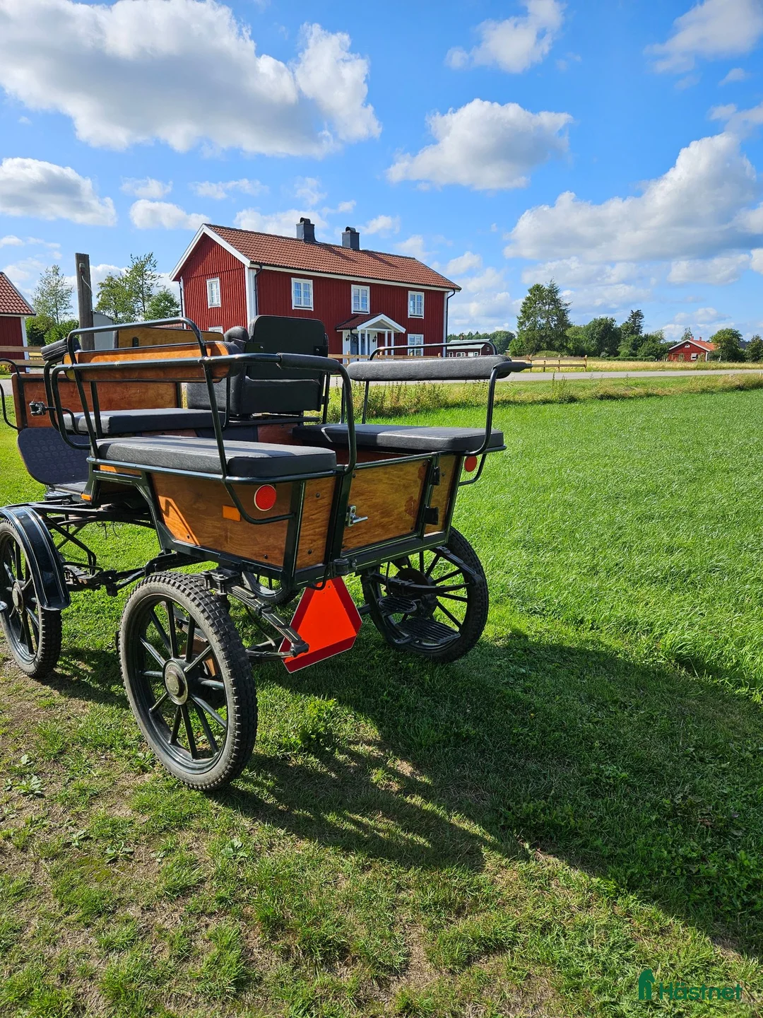 Körvagnar körning till salu: Wagonette  - Annons 4