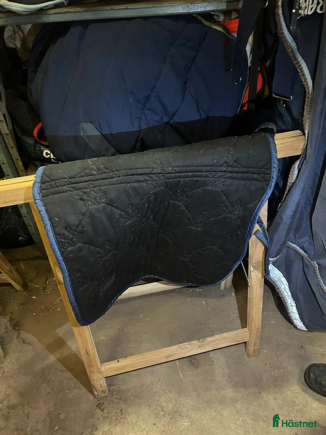 Schabrak & Vojlockar hästutrustning till salu: Copperfield  i Norrköping - Annons 2