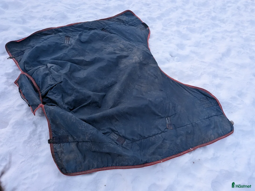 Täcken hästutrustning till salu: Horseware Rambo - Annons 5