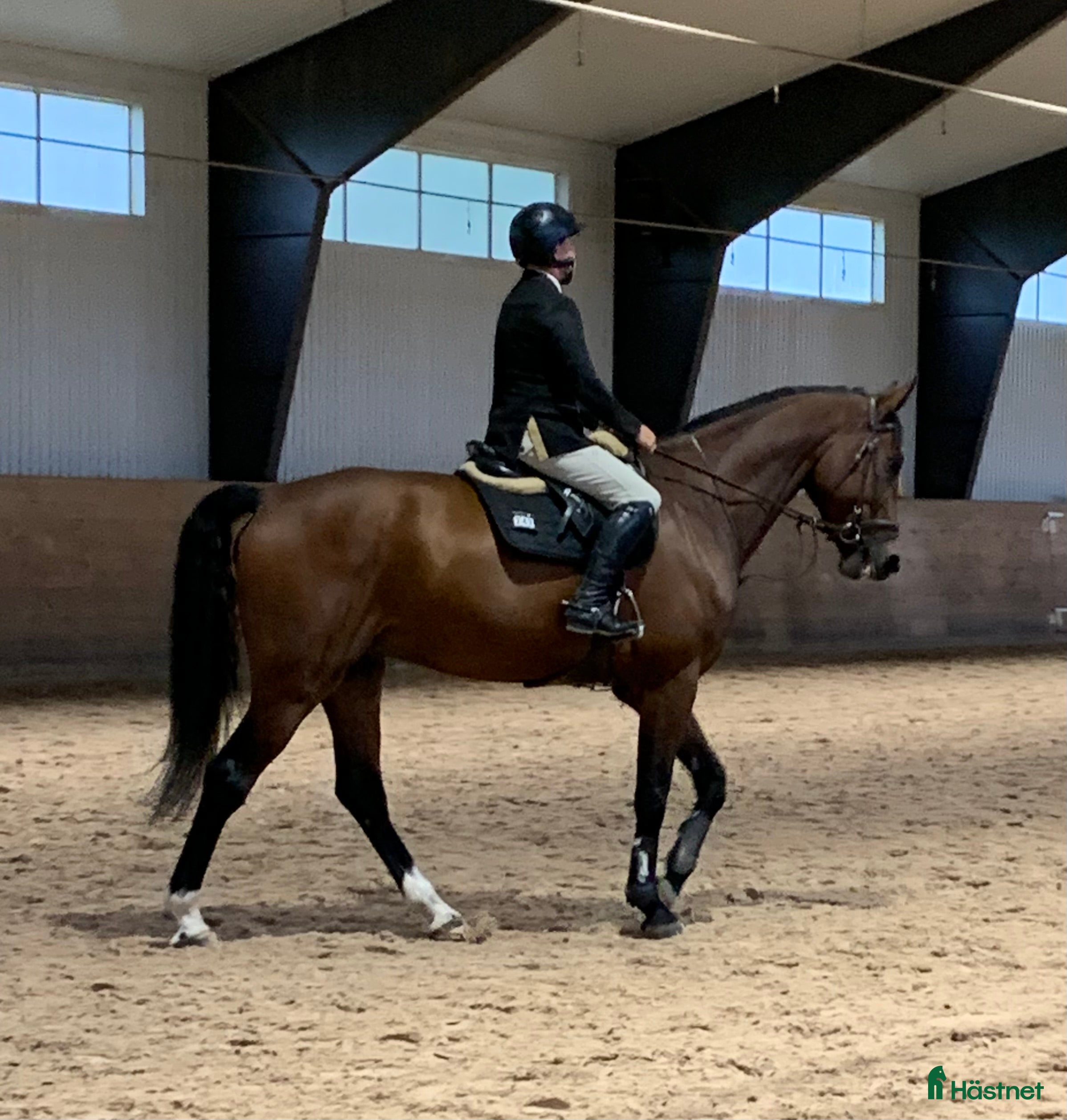 Hoppning hästar till salu: Hopphäst  i Örby - Annons 2