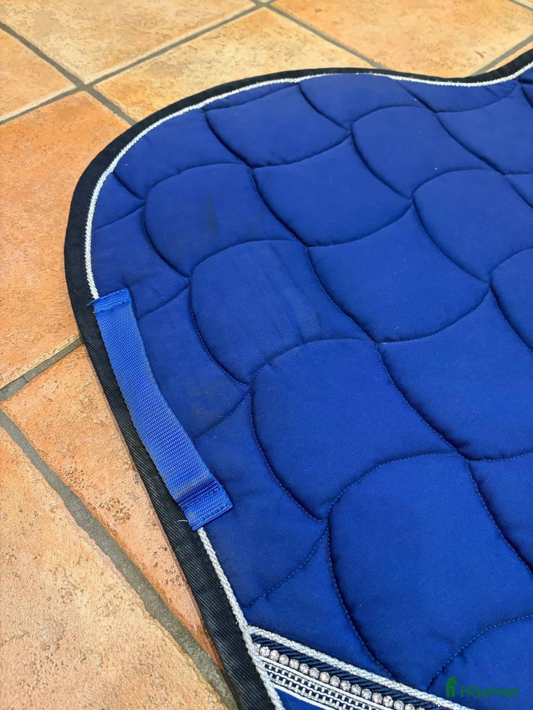 Schabrak & Vojlockar hästutrustning till salu: Anna Scarpati hoppschabrak - Annons 4