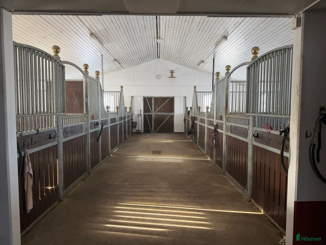  stallplats finnes: Lediga boxplatser strax utanför Ystad.  - Annons 2