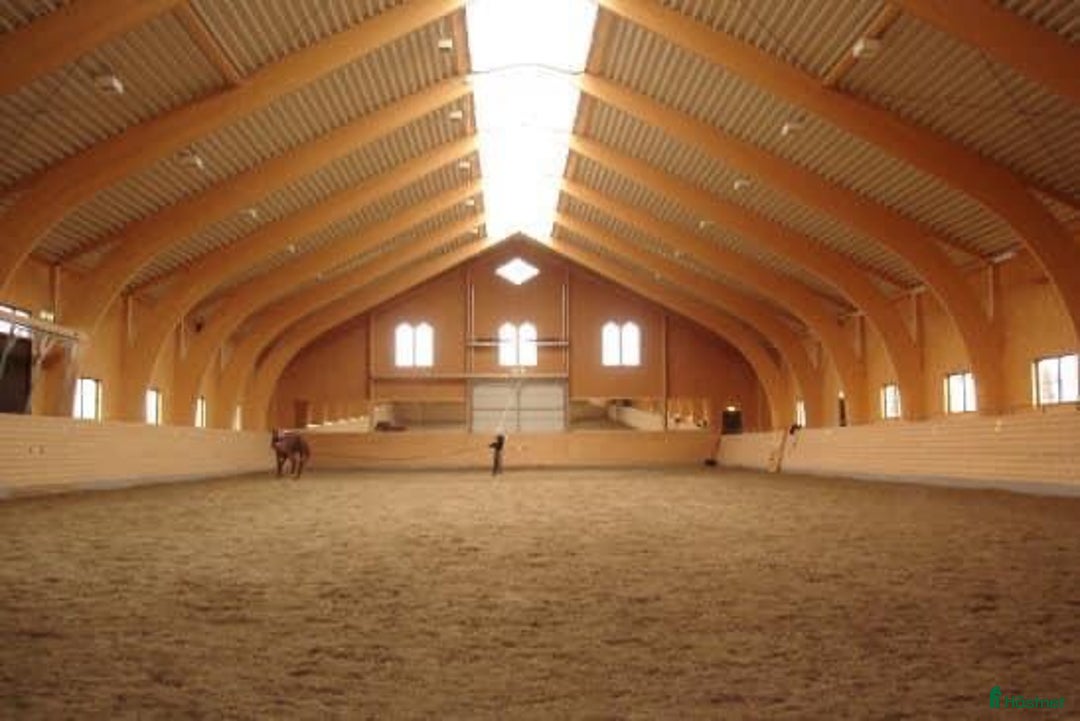  stallplats finnes: Inridning , utbildning, försäljning och tävling - Annons 3