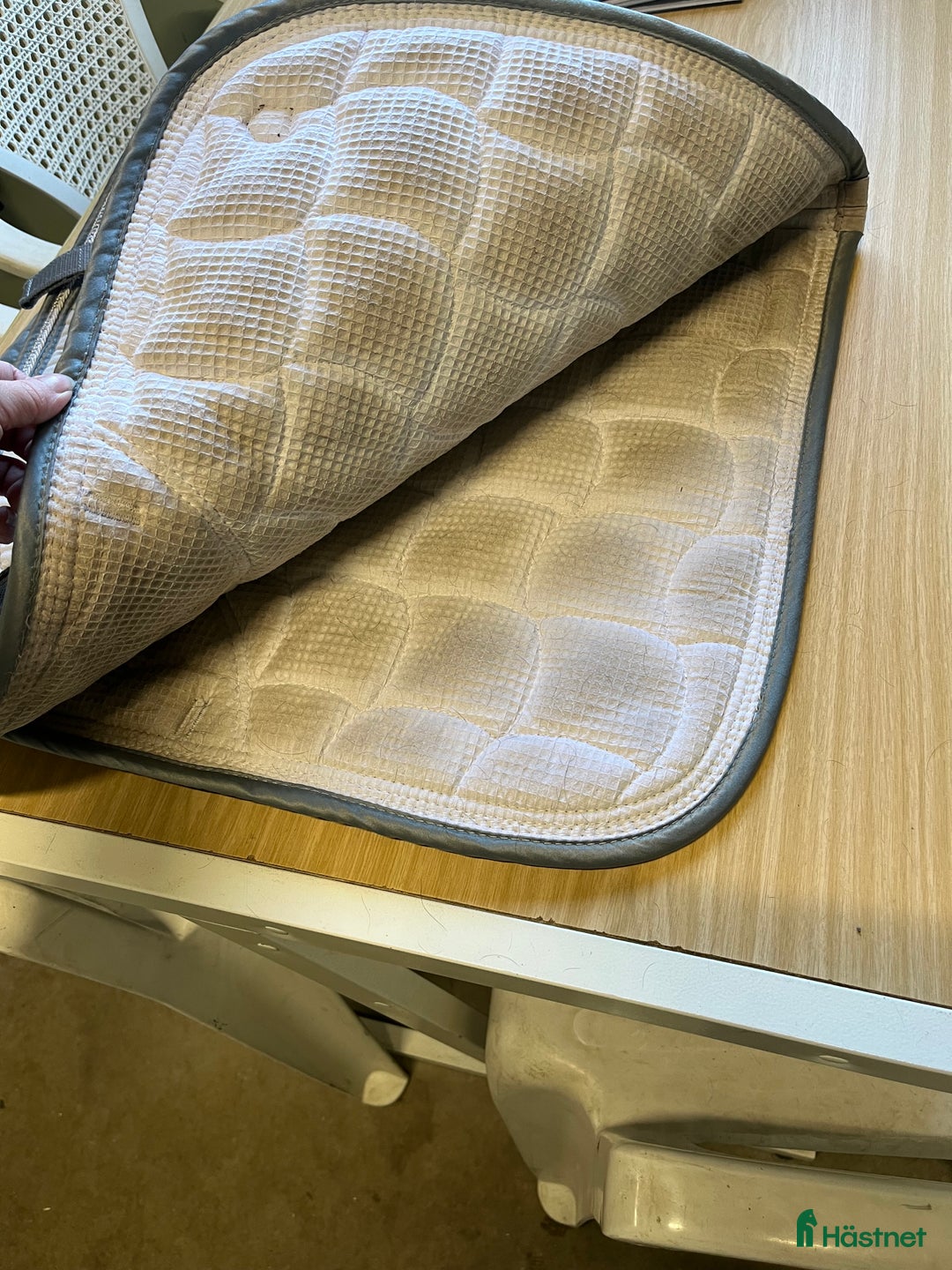 Schabrak & Vojlockar hästutrustning till salu: Dressyrschabrak  i Nossebro - Annons 2