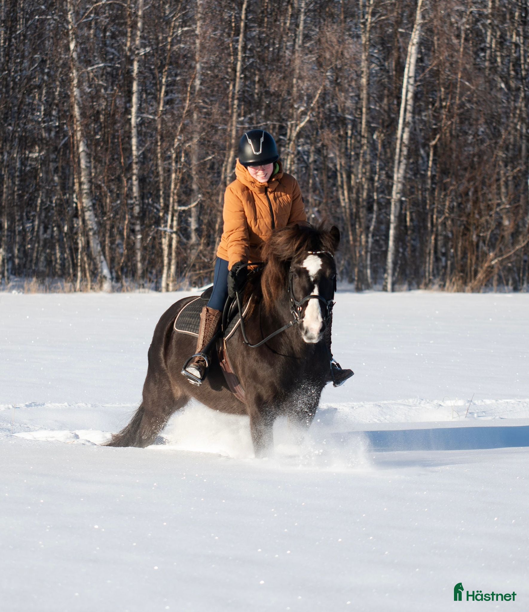  hästar Märtha G - Annons 1