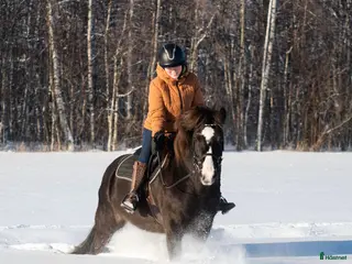 hästar Märtha G - Annons 1