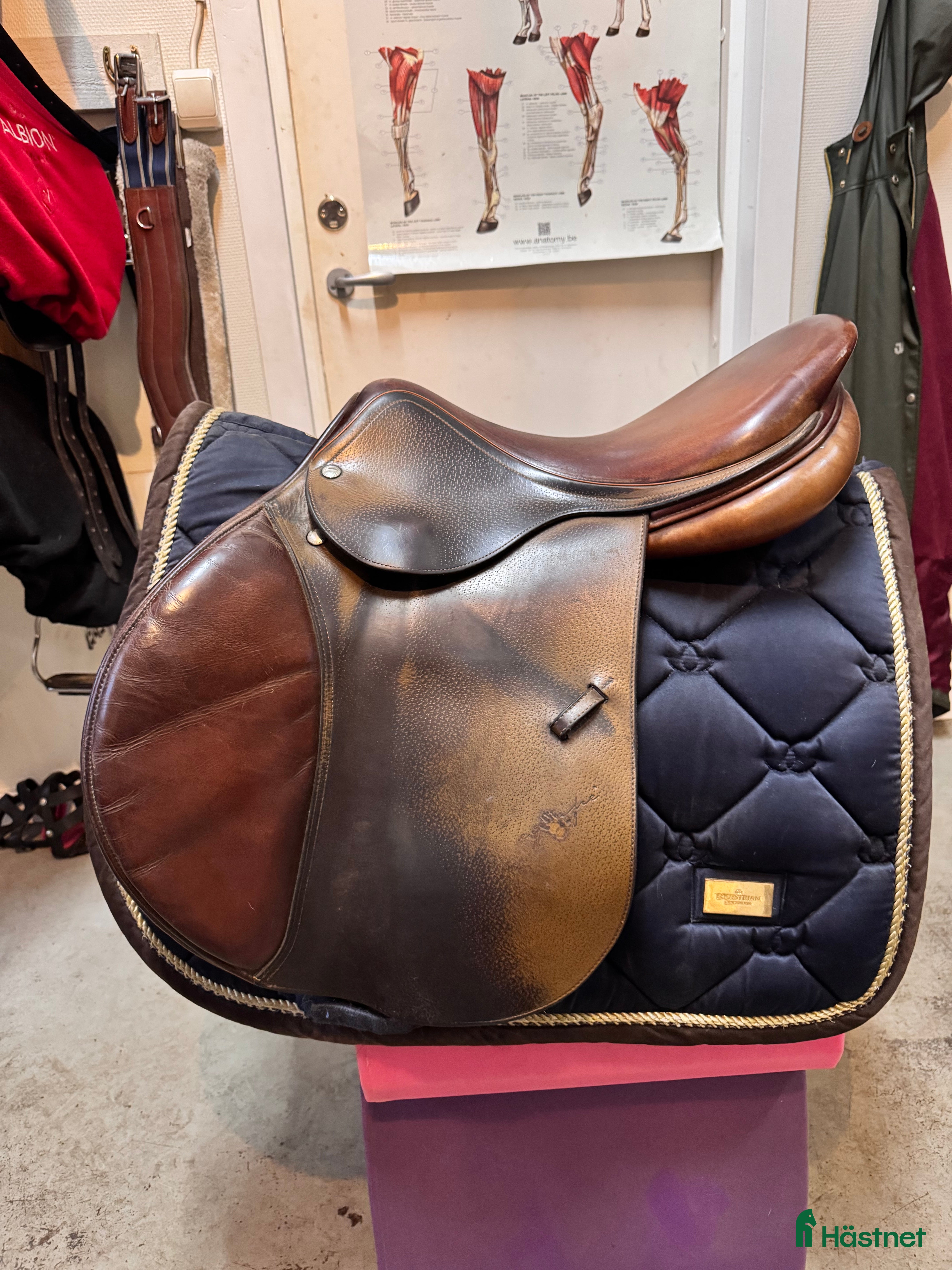 Sadlar hästutrustning till salu: Equipe grand prix i Örkelljunga - Annons 16