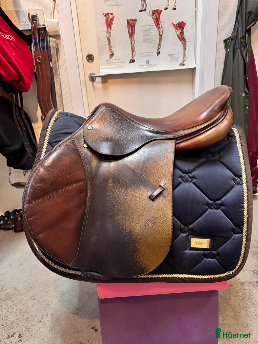 Sadlar hästutrustning till salu: Equipe grand prix i Örkelljunga - Annons 1