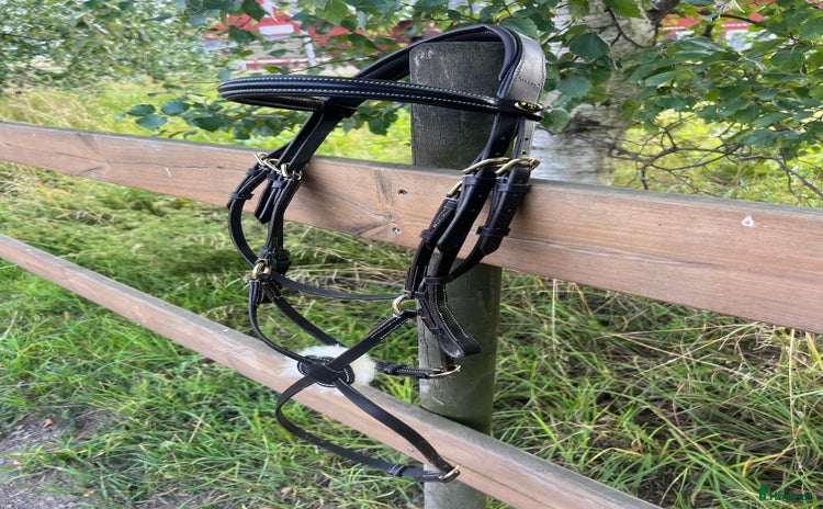 Träns hästutrustning till salu i Motala - Annons 16