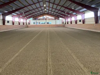 stallplats Stor häst sökes till trivsamt stall i Österhaninge - Annons 9