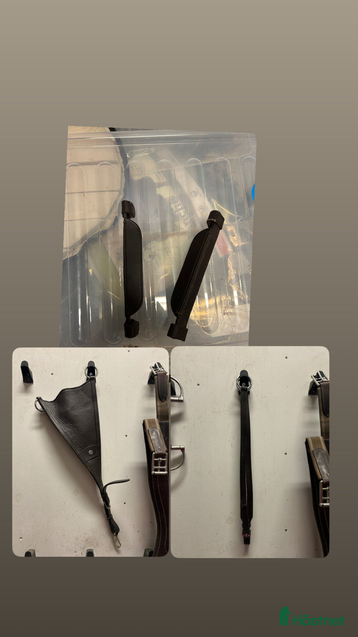 Övrig Hästutrustning hästutrustning till salu: Martingal, blinkers.. i Sundborn - Annons 1