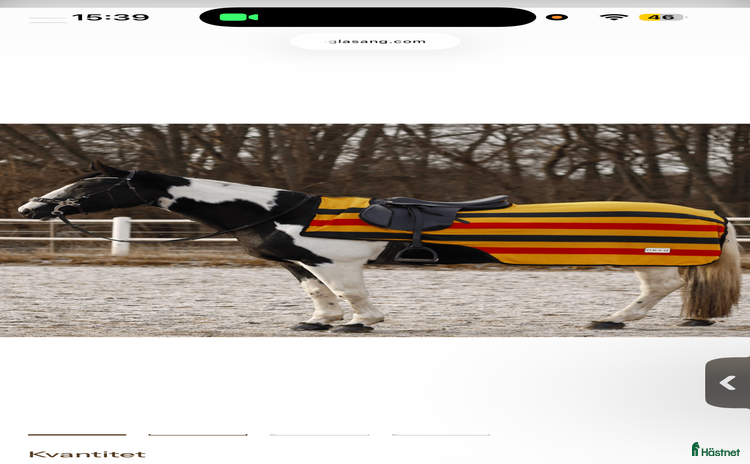 Täcken hästutrustning till salu i Tävelsås - Annons 17