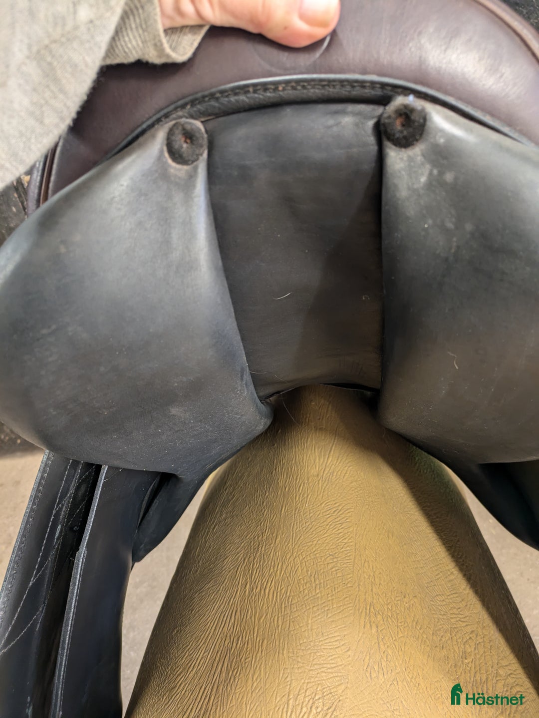 Sadlar hästutrustning till salu: Taur spider i Vartofta - Annons 5