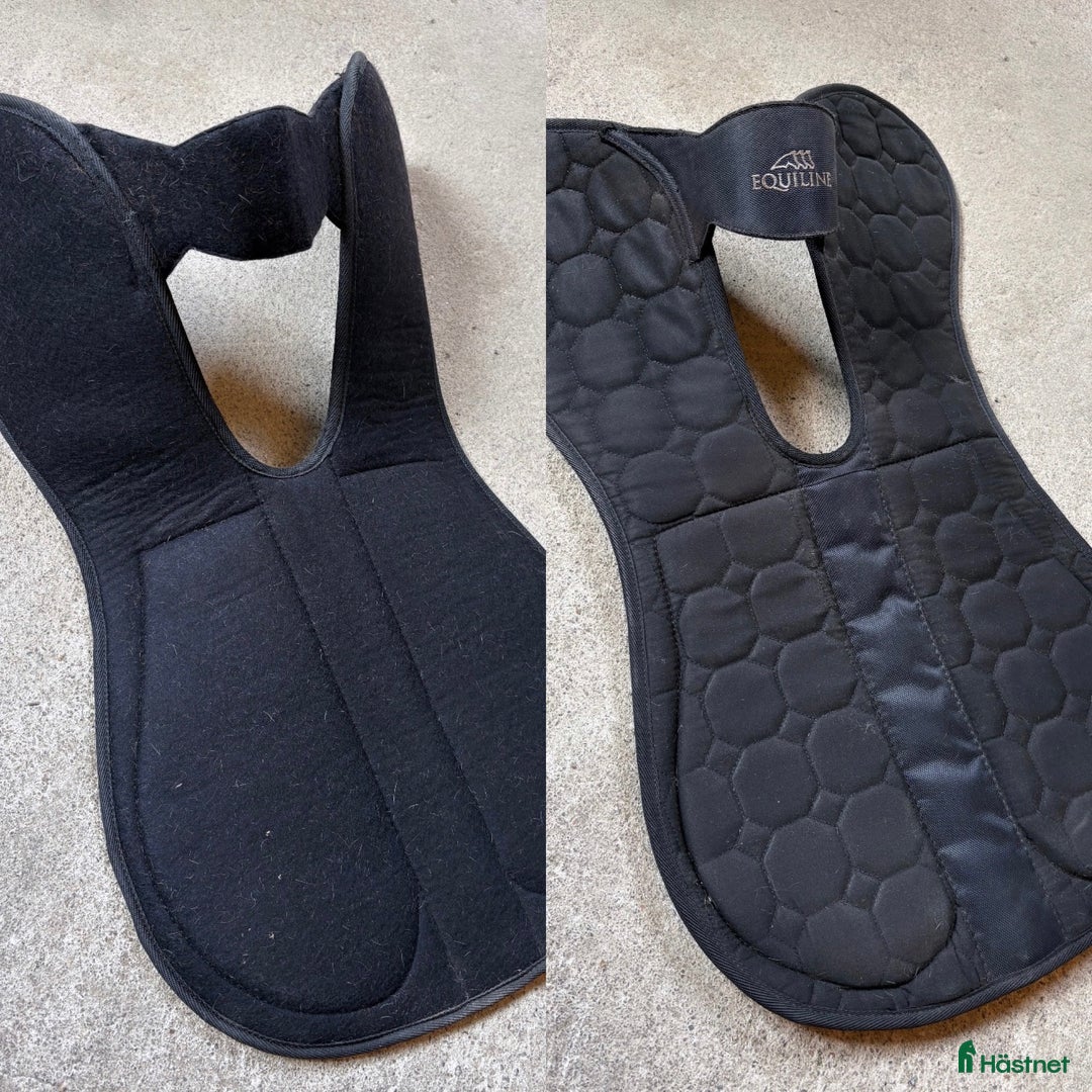 Sadeltillbehör hästutrustning till salu: Equiline i Sigtuna - Annons 1