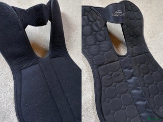 Sadeltillbehör hästutrustning till salu: Equiline i Sigtuna - Annons 5