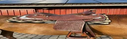 Sadlar hästutrustning till salu: Western sadel - Annons 1