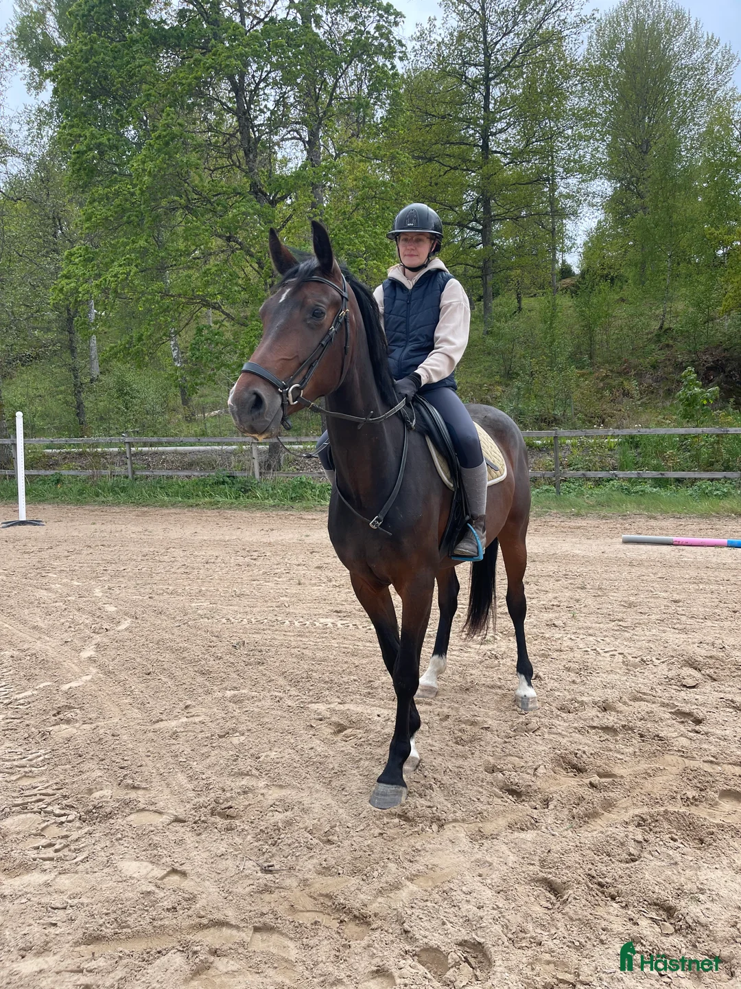  hästservice finnes: Inridning/unghästhantering i Söderköping - Annons 2