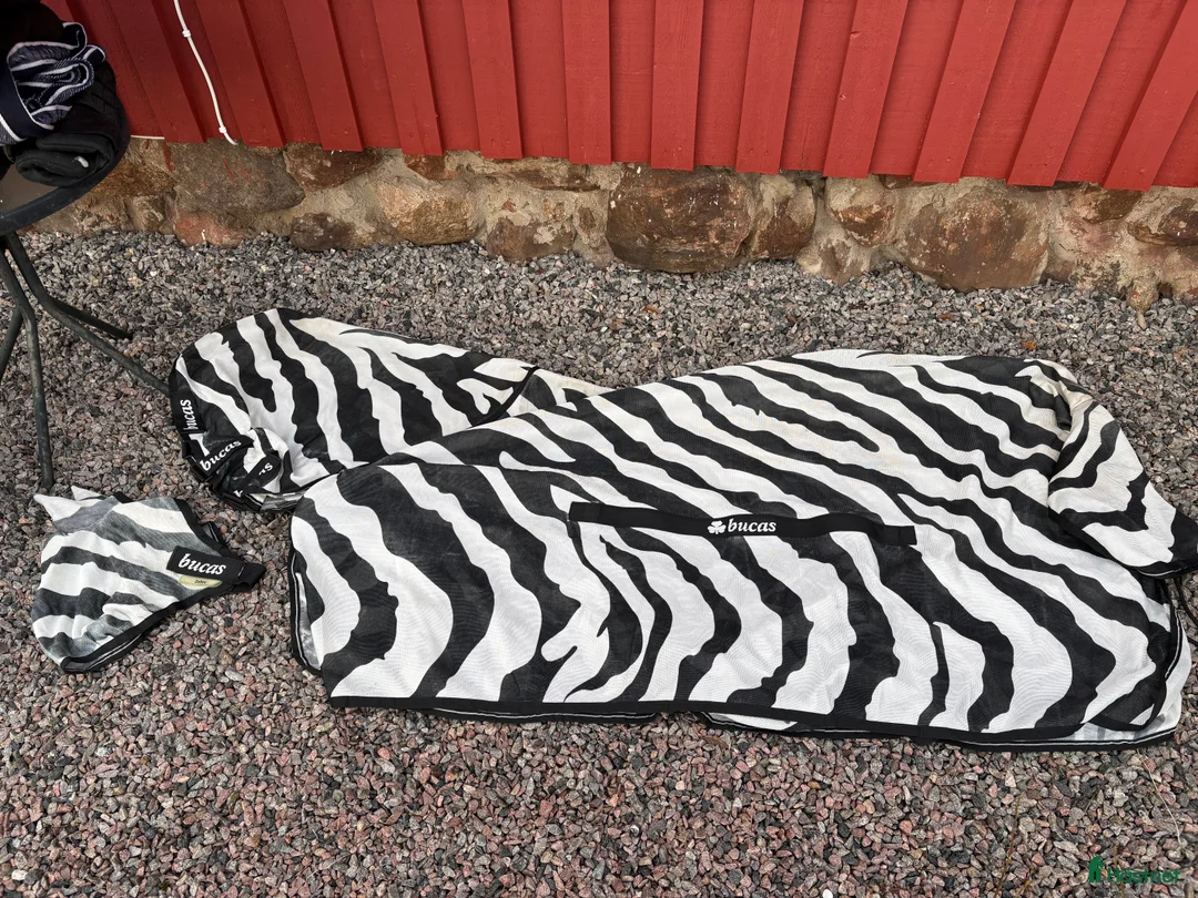 Täcken hästutrustning till salu: Täcken, bandage och transportskydd - Annons 6