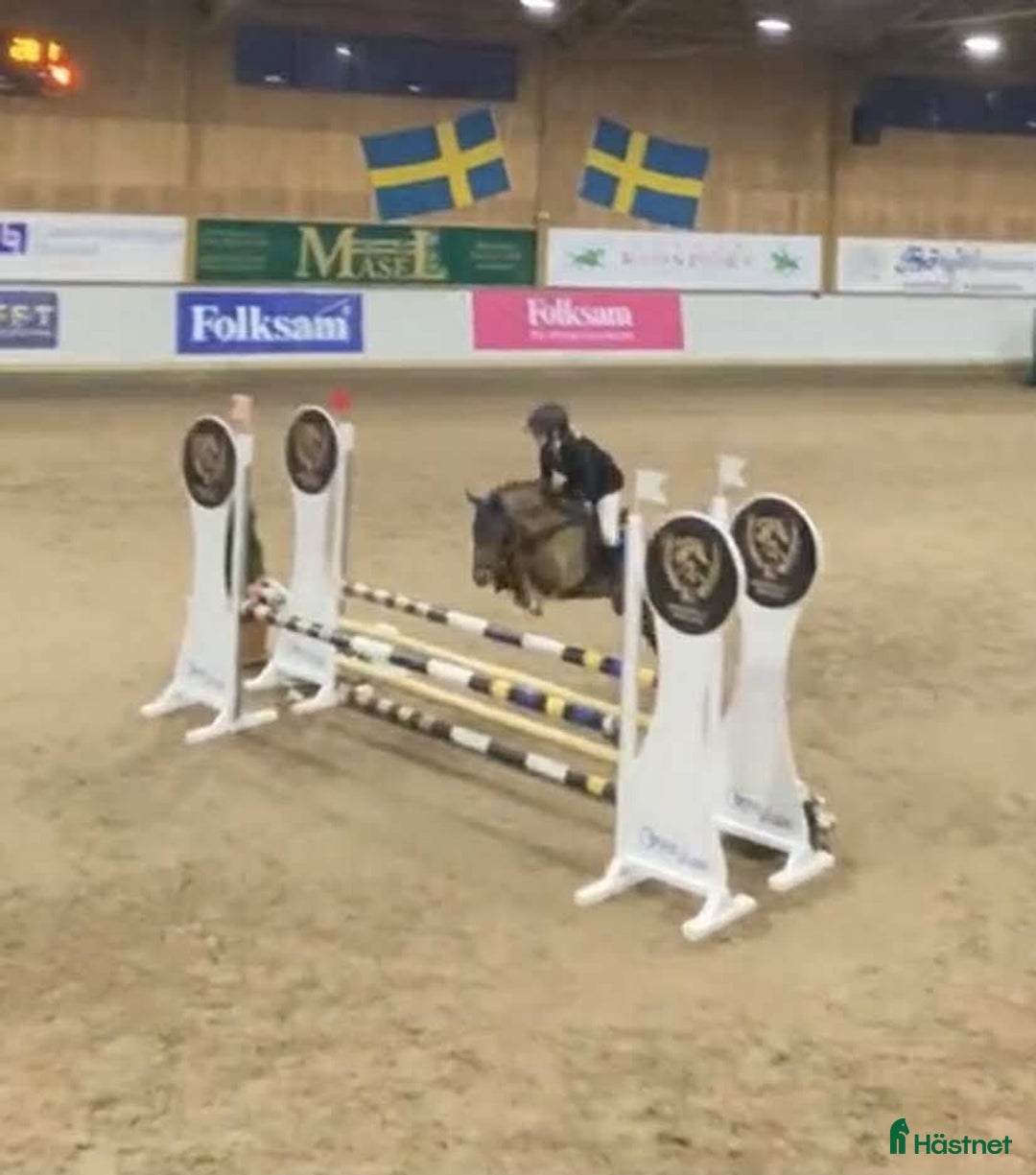 Hoppning hästar till salu: Maxad b-ponny för de högsta klasserna  i Vallåkra - Annons 3
