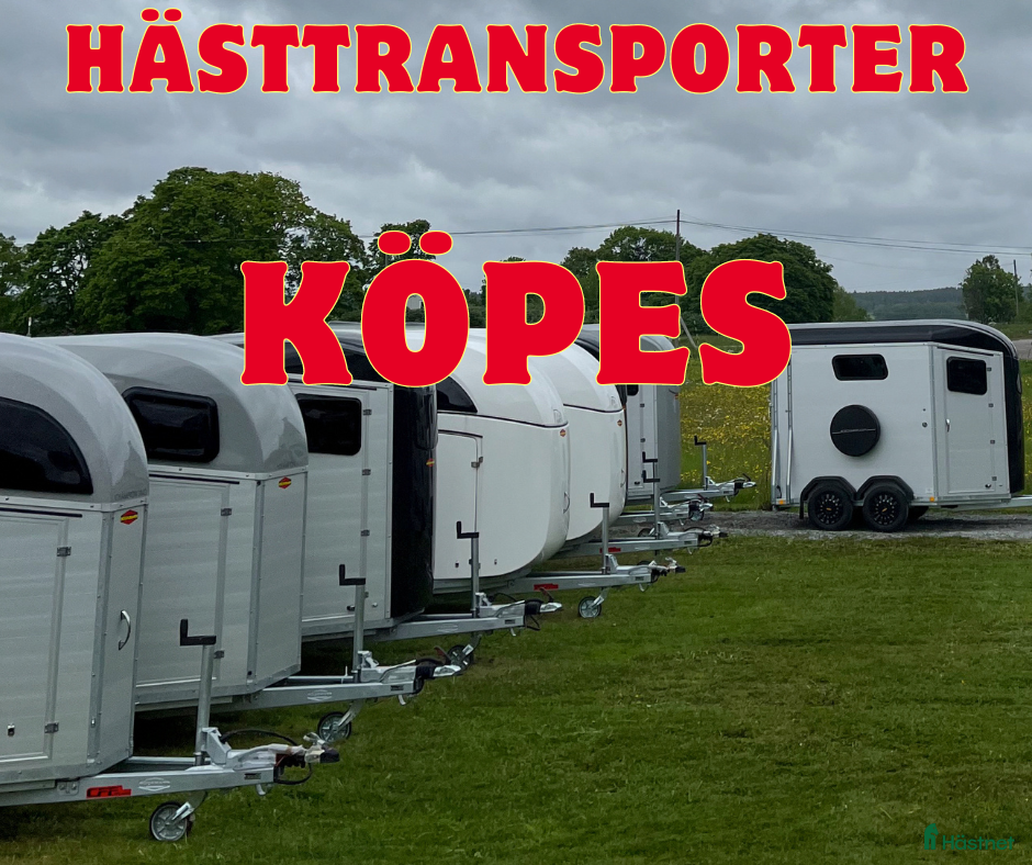 Hästtransporter  fordon & transport till salu: Hästtransporter KÖPES i Vallentuna - Annons 7