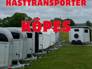 Hästtransporter fordon & transport till salu: Hästtransporter KÖPES i Vallentuna - Annons 4