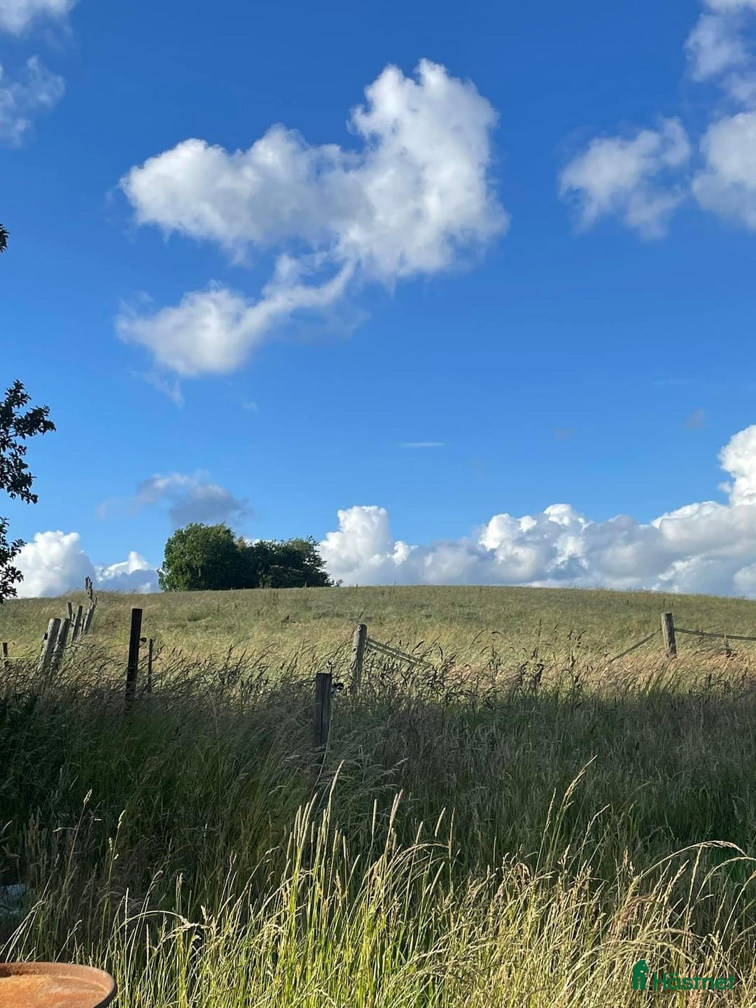  stallplats finnes: Stallplatser i Ekeby  i Ekeby - Annons 7