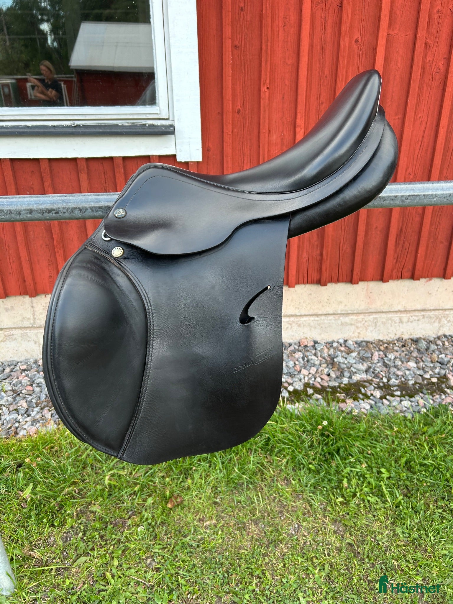 Sadlar hästutrustning Prestige Roma Jump  - Annons 3