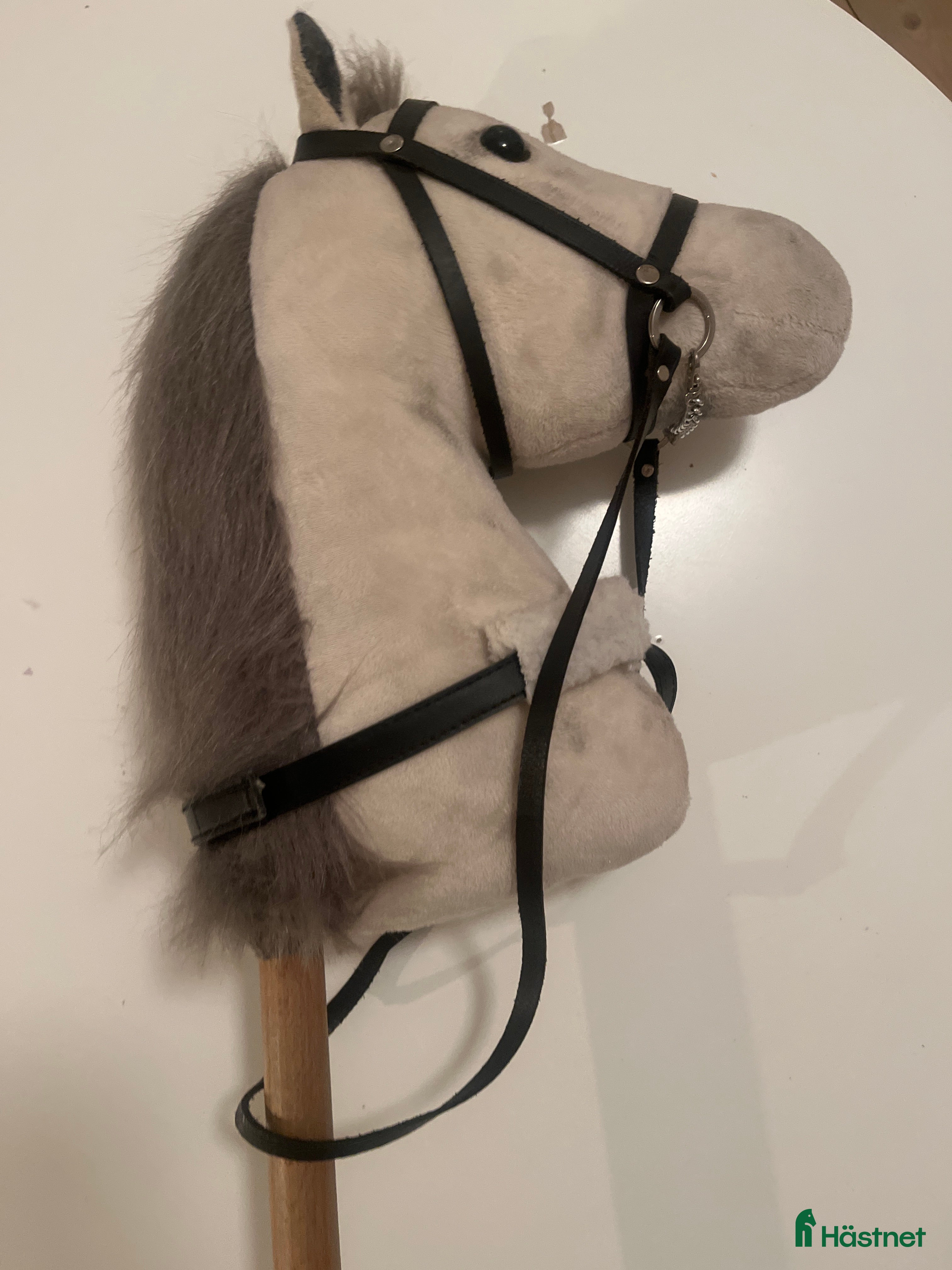 Övrig utrustning övrig utrustning till salu: Snygg käpphäst i Lidingö - Annons 4