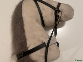 Övrig utrustning övrig utrustning till salu: Snygg käpphäst i Lidingö - Annons 1