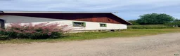  stallplats finnes: Lösdriftsplats för islandsvalacker- Vallentuna - Annons 10