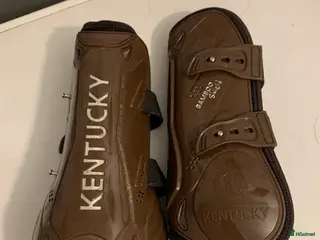 Benskydd hästutrustning Kentucky benskydd - Annons 1