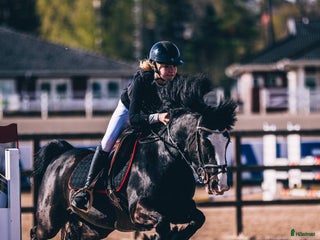 hästar Häftig B-ponny i Edsele - Annons 2