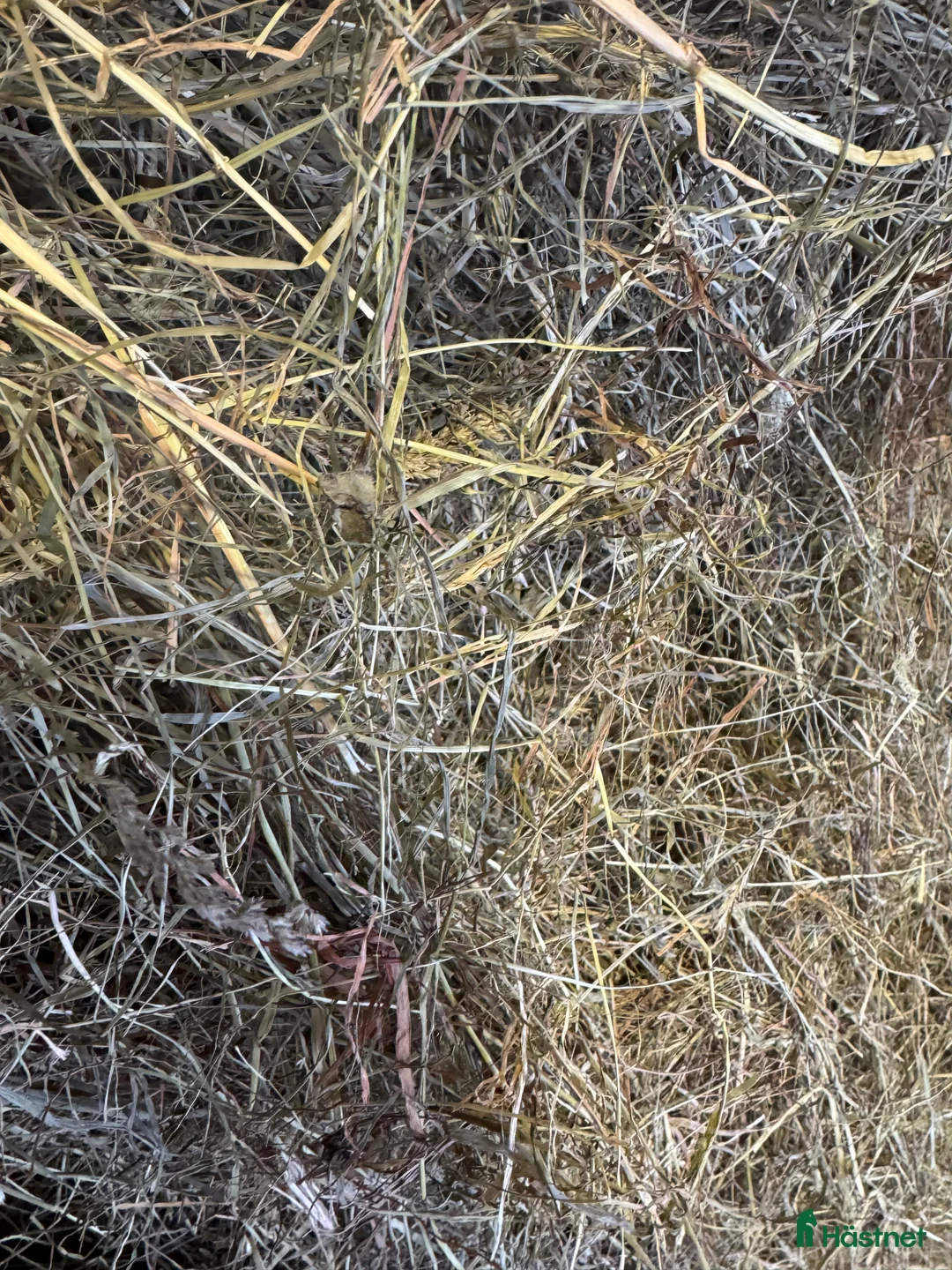 Övrig utrustning övrig utrustning till salu: Hö säljes  i Hörby - Annons 2