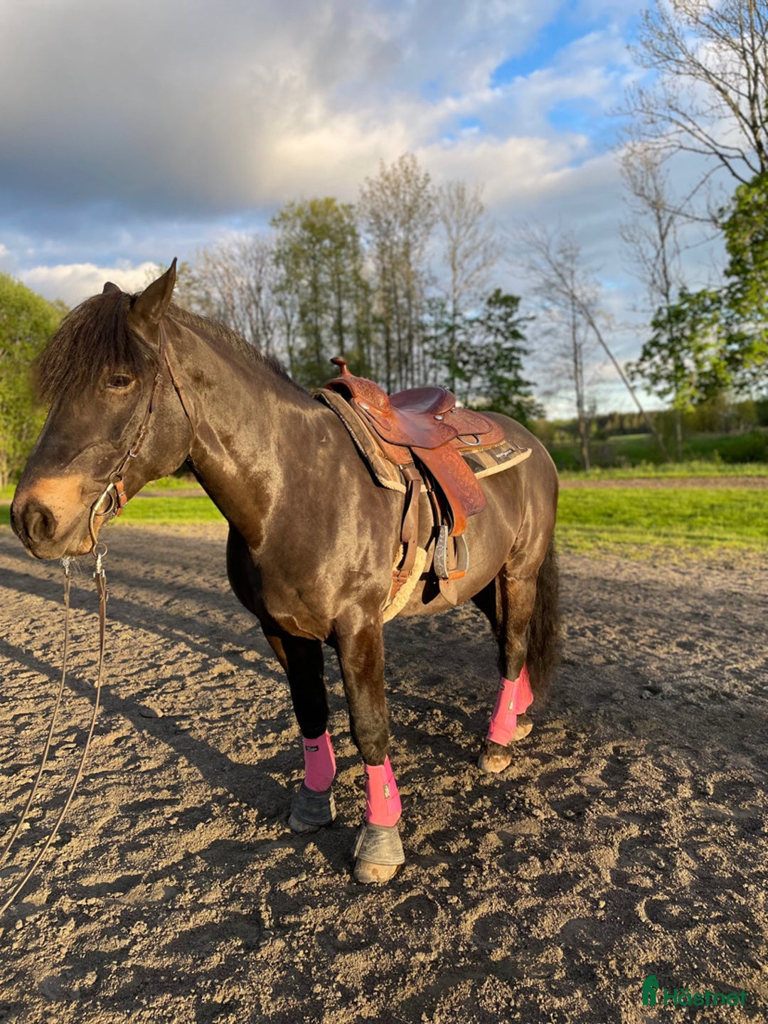 Sadlar hästutrustning till salu: Western sadel  i Alingsås - Annons 12