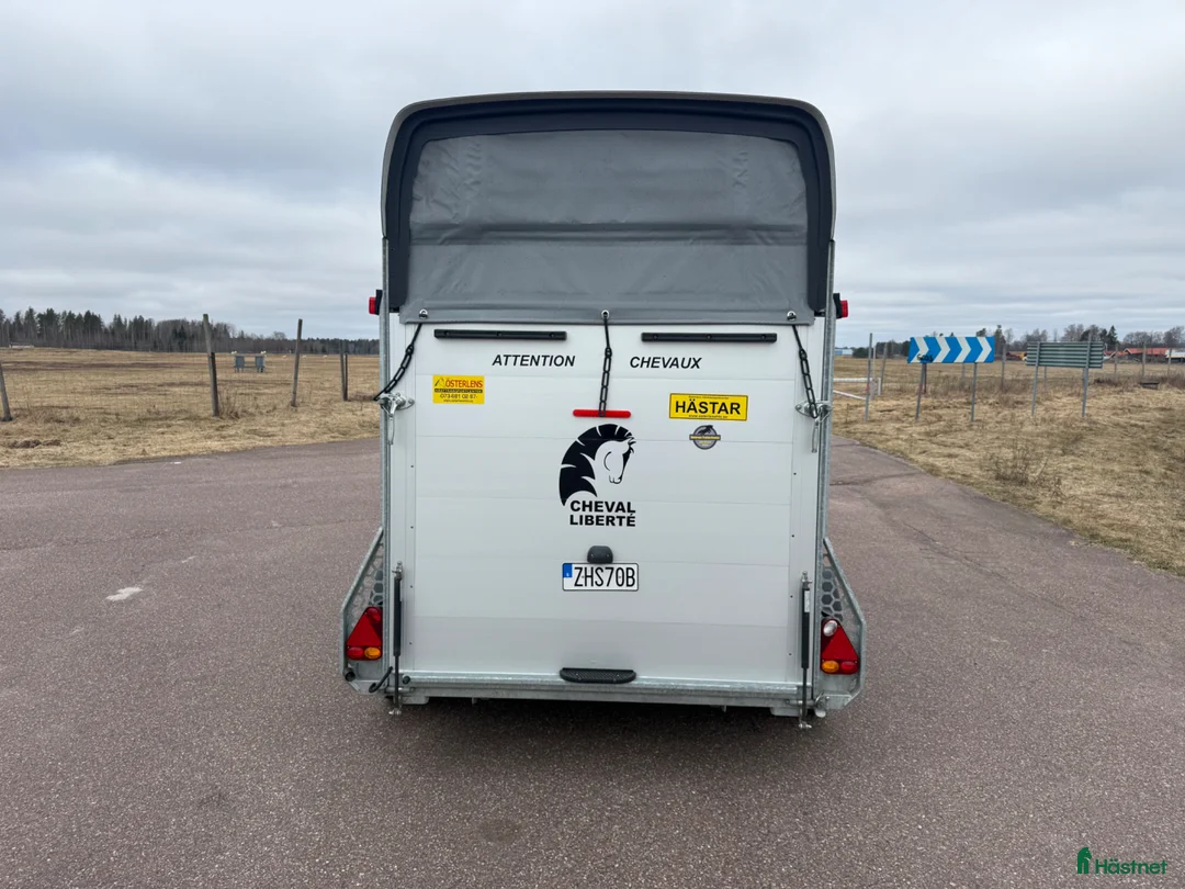 Hästtransporter  fordon & transport till salu: Chaval Gold3 -24 - B-kort! - Annons 2