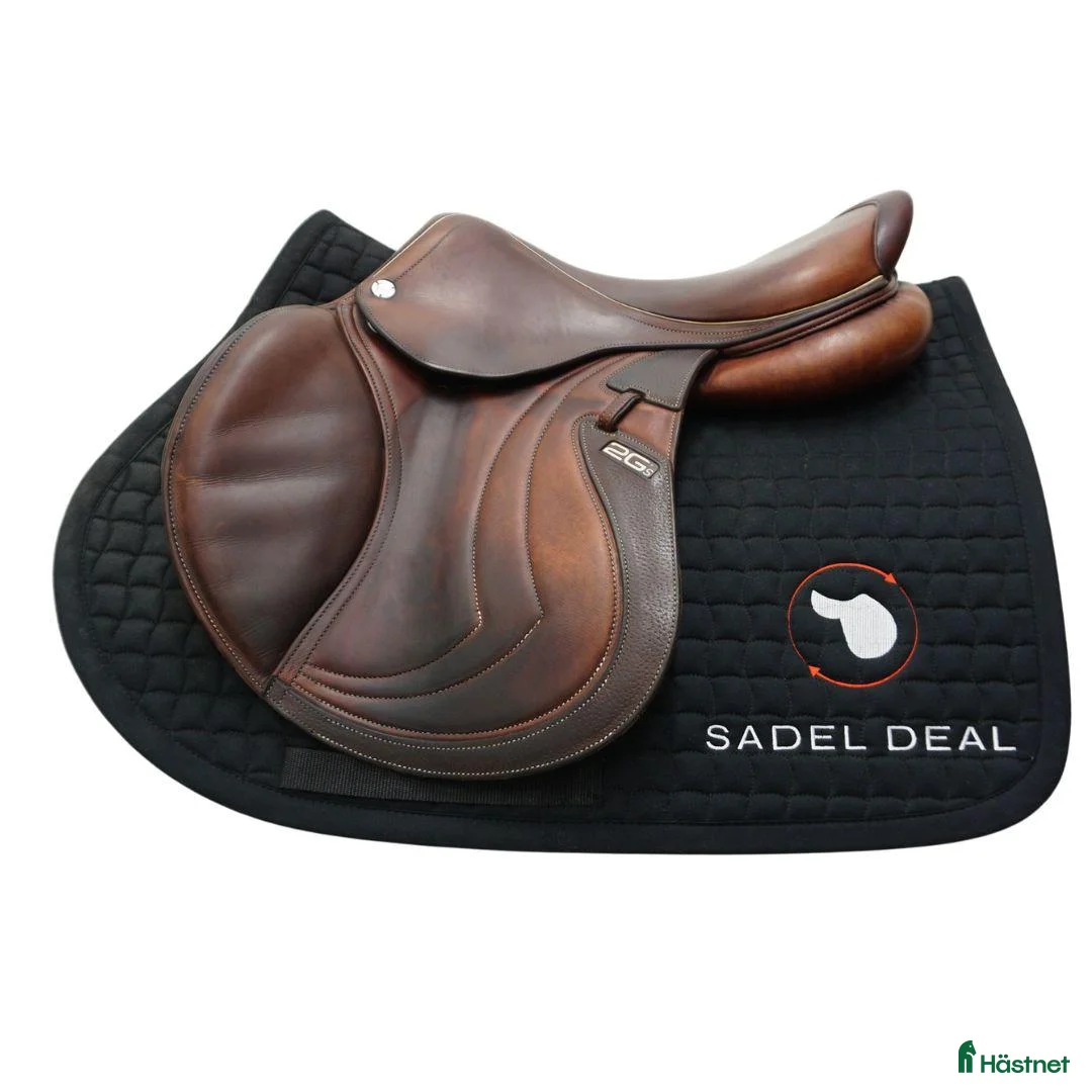 Sadlar hästutrustning till salu: CWD Mademoiselle 17" - Annons 1