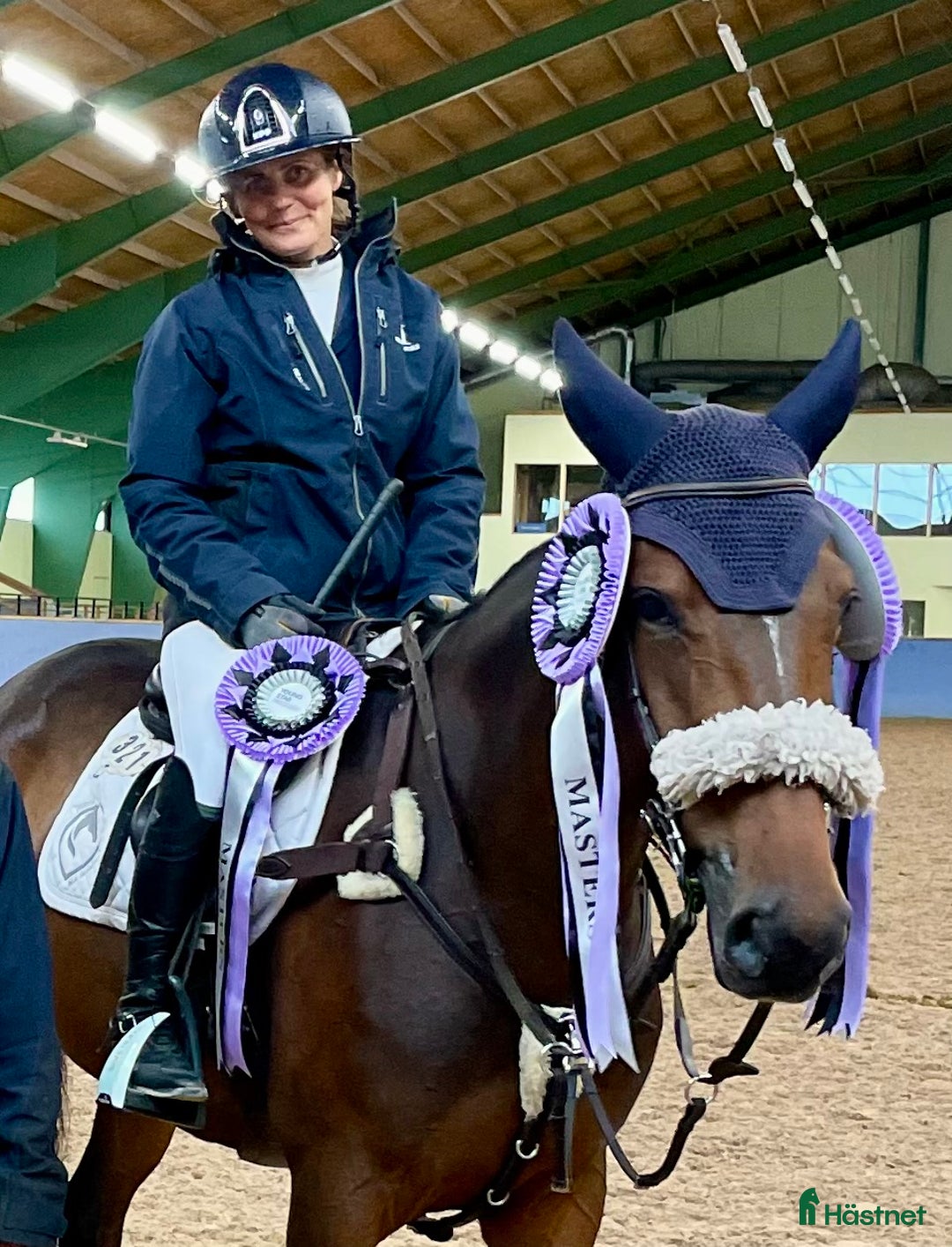 Hoppning hästar till salu: 2019 sto e. Million Dollar/For pleasure/Carthago i Norrköping - Annons 2