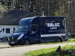 Hästlastbilar fordon & transport till salu: Reanult Theault Hästlastbil i Kimstad - Annons 1