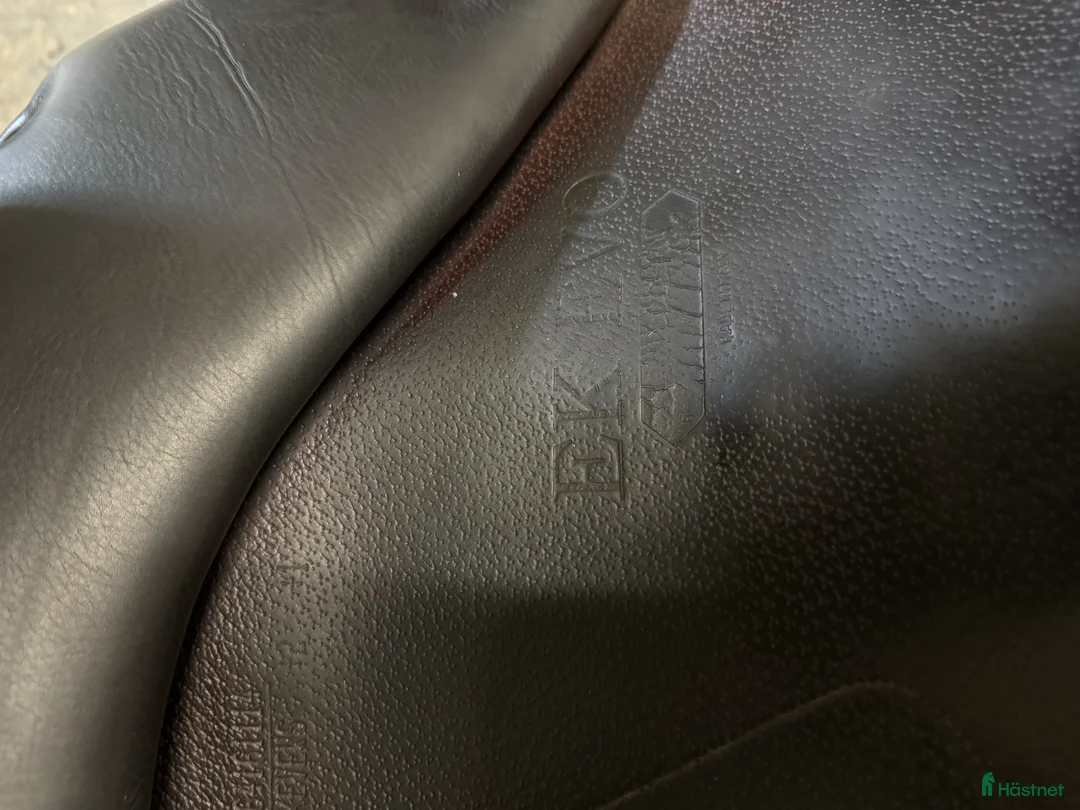 Sadlar hästutrustning till salu: Equipe Ek Evo i Sollefteå - Annons 3