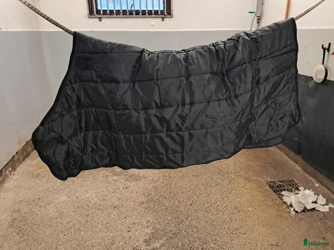 Täcken hästutrustning till salu: Täcken - Annons 5